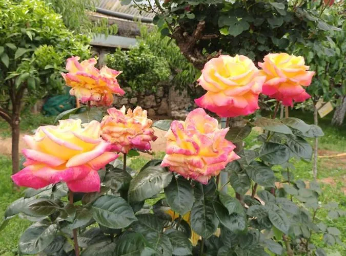 Ferienhaus Vivienda Vacacional Las Vinas *