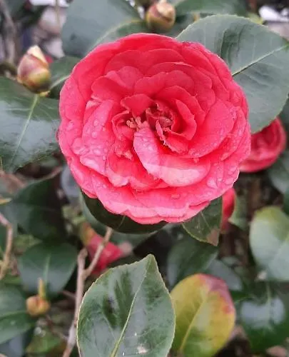 Ferienhaus Vivienda Vacacional Las Vinas *